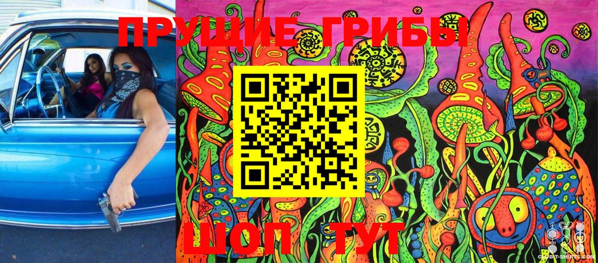 Тимашёвск  Псилоцибиновые грибы ЛСД  Вход с VPN 