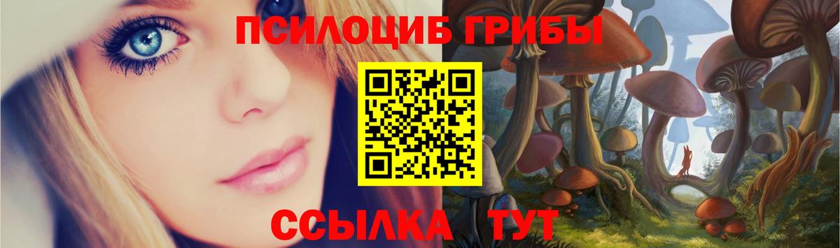 Галлюциногенные грибы Cubensis Тимашёвск